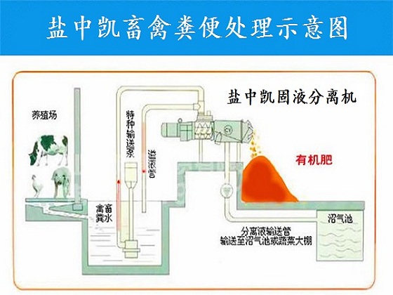 鸡粪干湿分离机